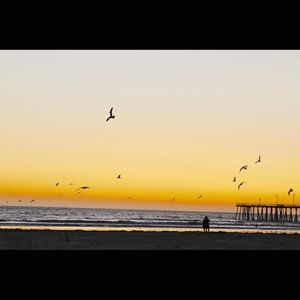 Meet your Posher, Kristina